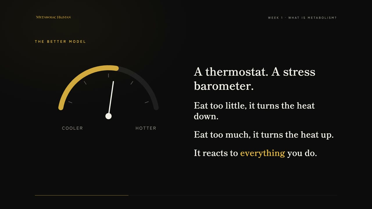 Lesson slide: the metabolic thermostat